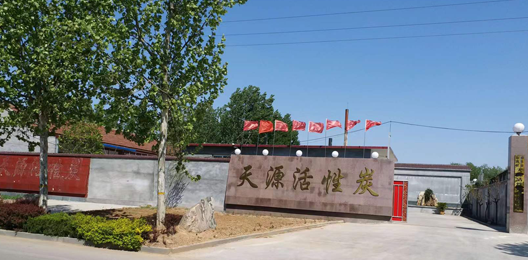 粉末顆?；钚蕴?></div>
        <dl style=